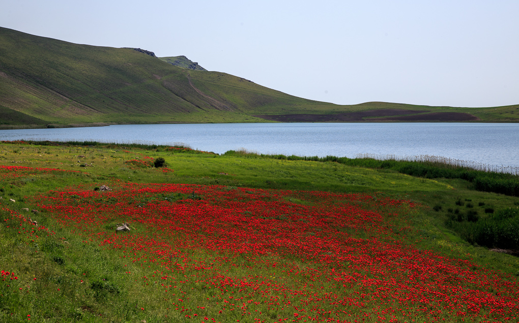 Denizgölü